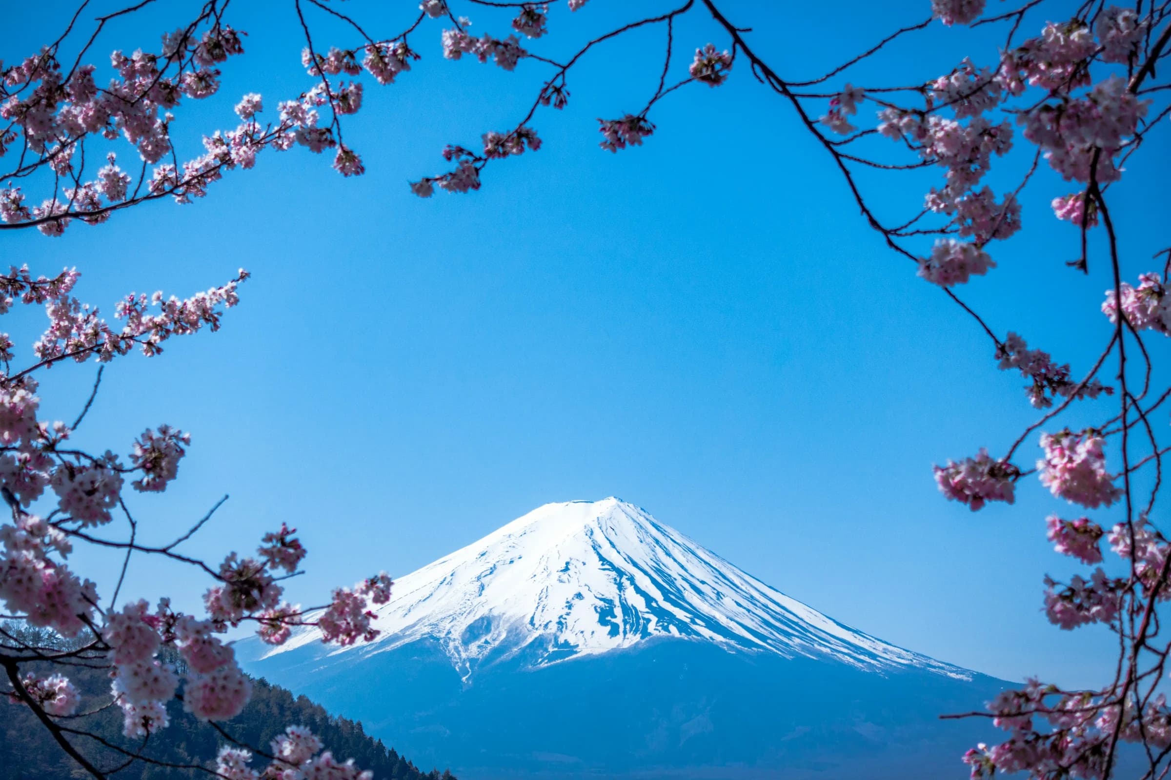 Local Japan Guides: travel guides for Tokyo, Kyoto, Osaka & Mount Fuji